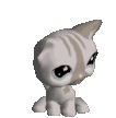 cat from LPS